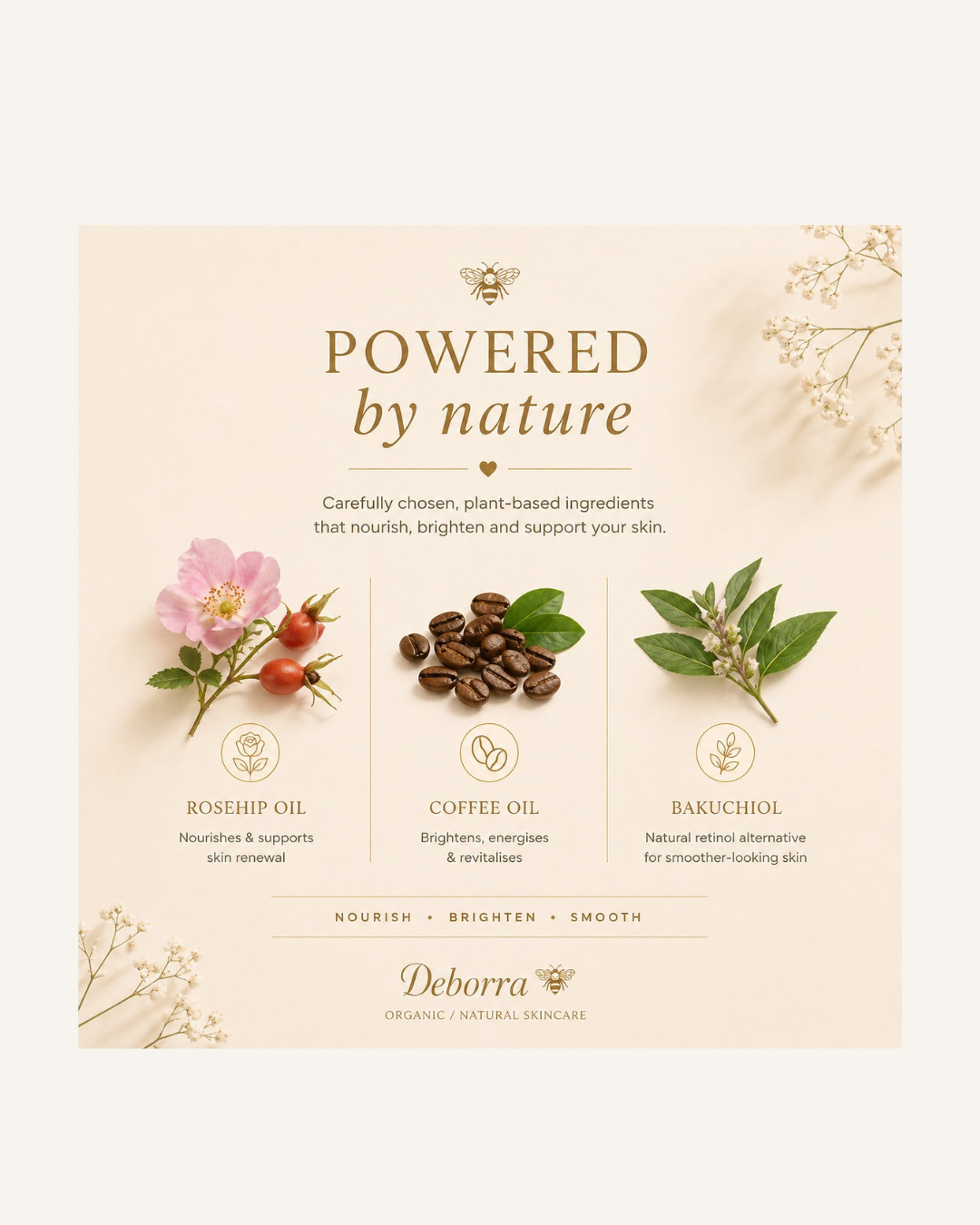 Rose Coffee Face Oil